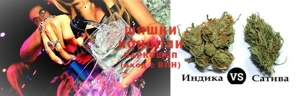 ПСИЛОЦИБИНОВЫЕ ГРИБЫ Арсеньев