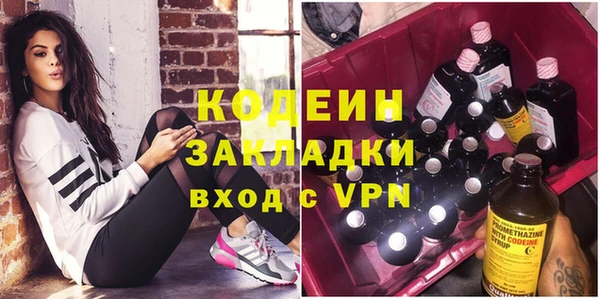 ПСИЛОЦИБИНОВЫЕ ГРИБЫ Арсеньев