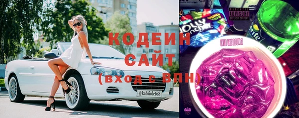 ПСИЛОЦИБИНОВЫЕ ГРИБЫ Арсеньев