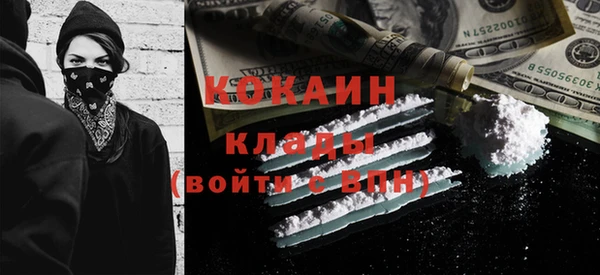 ПСИЛОЦИБИНОВЫЕ ГРИБЫ Арсеньев